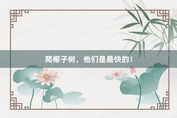爬椰子树，他们是最快的！