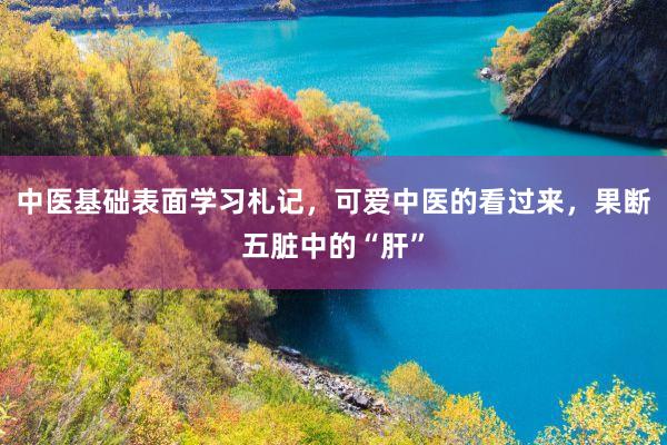 中医基础表面学习札记，可爱中医的看过来，果断五脏中的“肝”
