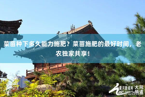 菜苗种下多久能力施肥？菜苗施肥的最好时间，老农独家共享！