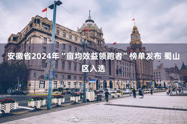 安徽省2024年“亩均效益领跑者”榜单发布 蜀山区入选