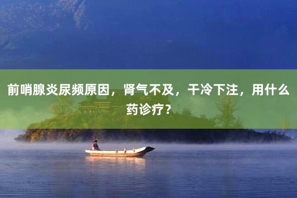 前哨腺炎尿频原因，肾气不及，干冷下注，用什么药诊疗？