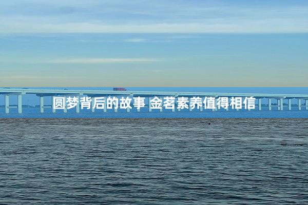 圆梦背后的故事 金茗素养值得相信