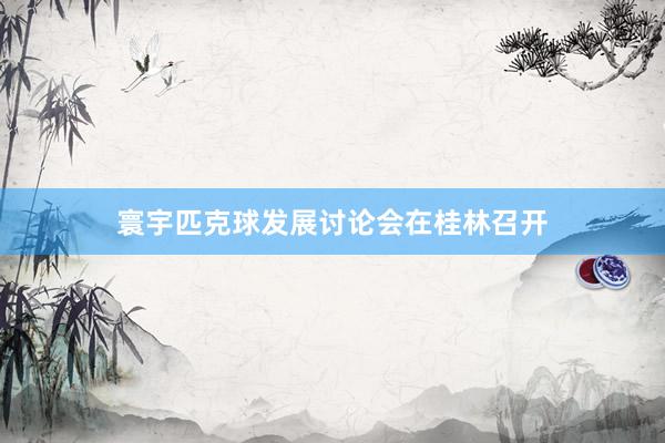 寰宇匹克球发展讨论会在桂林召开